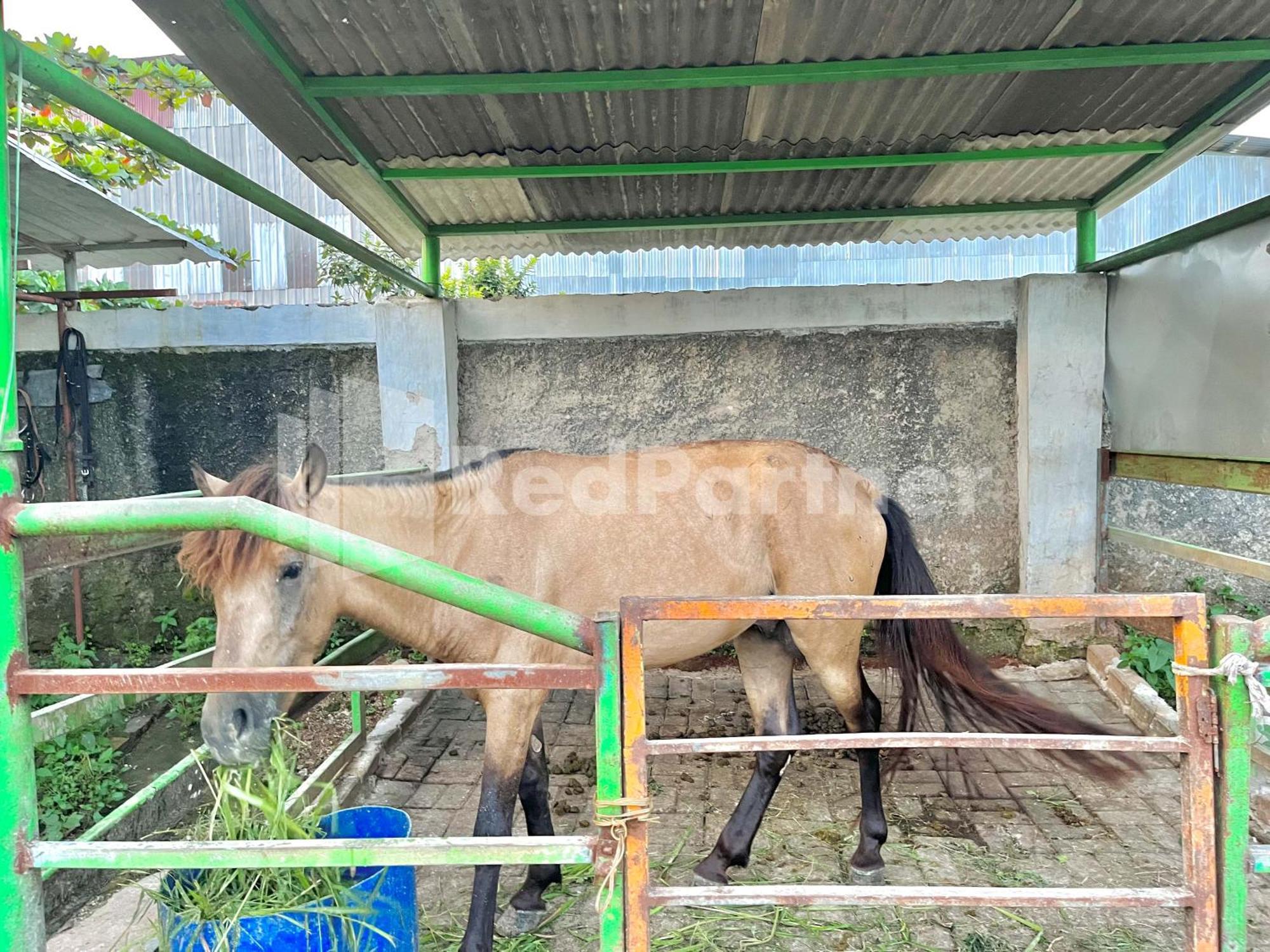 Hotel Lafa Park Syariah Rengas Bandung Cikarang Redpartner Cibeber Zewnętrze zdjęcie